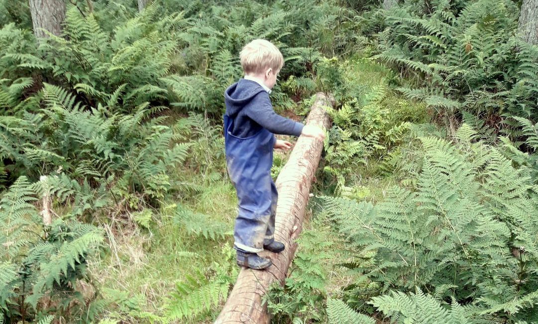 Balancing on a log